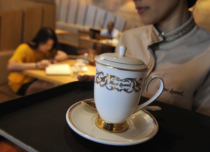 Kopi Luwak jest najdroższym gatunkiem kawy, jaki można zakupić /AFP