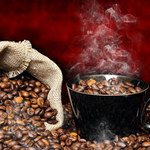 Kopi luwak: Najdroższa kawa świata. Z odchodów!
