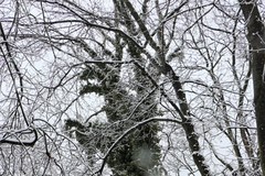 Kopiec Kościuszki pod śniegiem