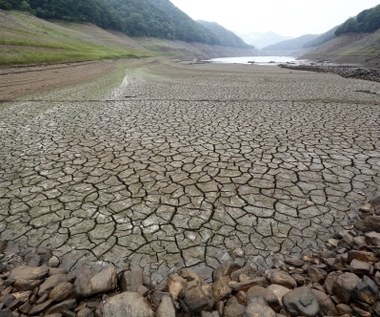 ​Korea Północna: Najgorsza susza od stu lat