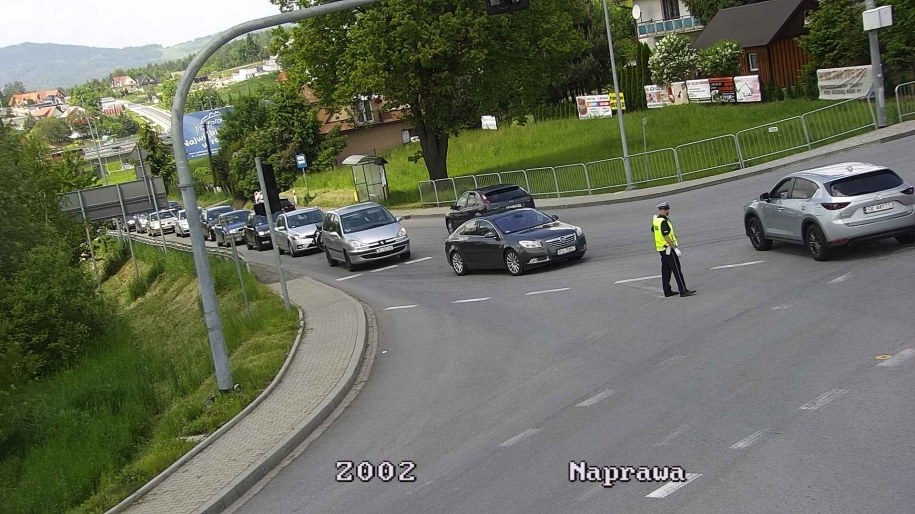 Korki w Skomielnej Białej /GDDKiA /