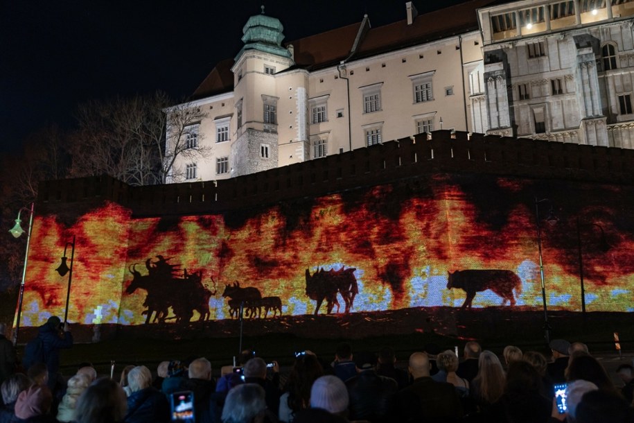 „Korona i Państwo – 1000 lat Królestwa” to monumentalna projekcja na murach Wawelu /Anna Kaczmarz / Polska Press /East News