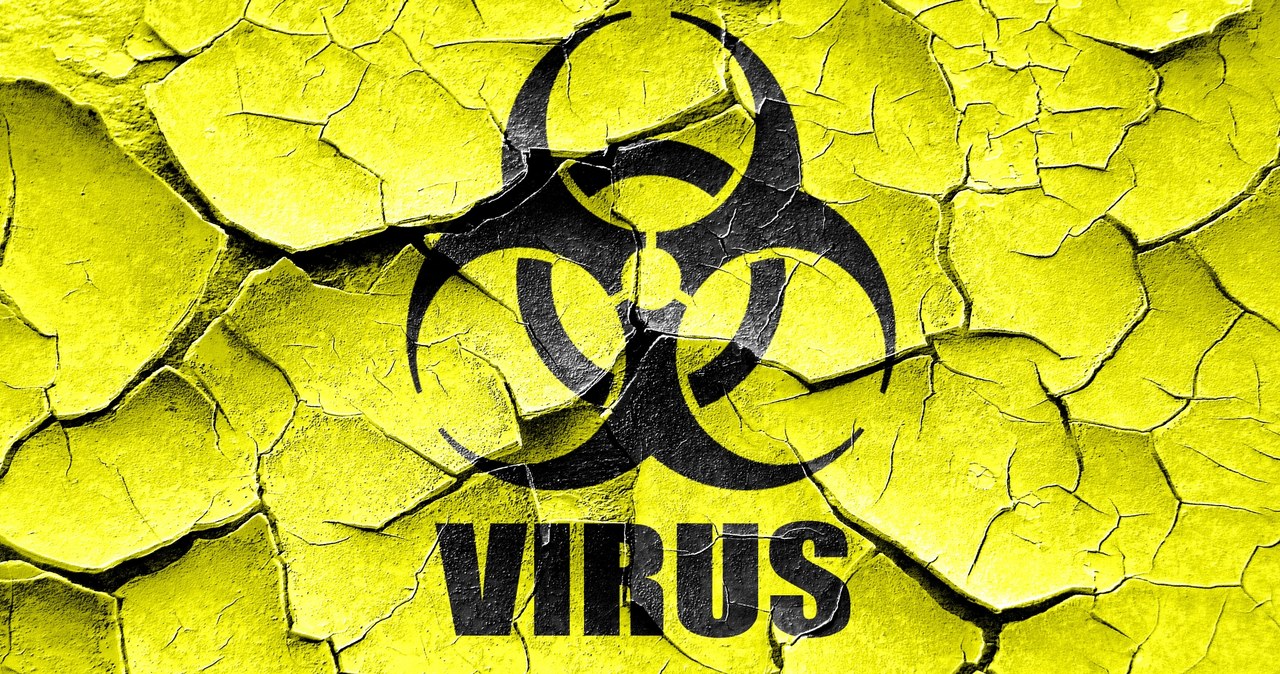Koronawirus: Co mogą zrobić przedsiębiorcy w obliczu pandemii? /123RF/PICSEL