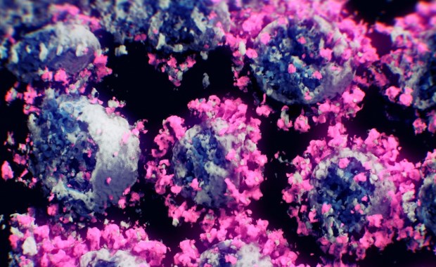 Koronawirus na zdjęciu 3D. Co na to naukowcy?