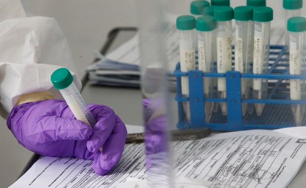 Koronawirus. Pierwszy polski test na Covid-19