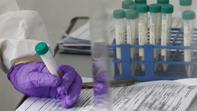 Koronawirus. Pierwszy polski test na Covid-19