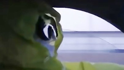 Koronawirus sieje postrach na całym świecie. Zobacz nagranie z pekińskiej taksówki