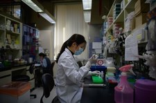Koronawirus w Chinach. Władze od lipca stosują u ludzi eksperymentalne szczepionki