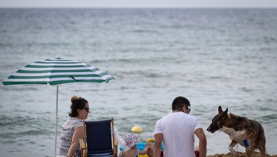 Koronawirus w Hiszpanii. W kryzysie przestało pracować 4,7 mln osób