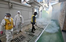 Koronawirus w Korei Płd. Urzędnik zajmujący się epidemią zmarł z wycieńczenia