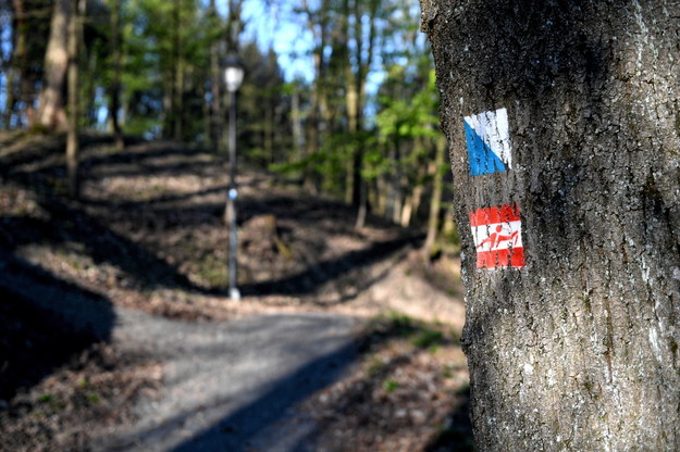 Koronawirus w Polsce. Park Zamkowy w Przemyślu /Darek Delmanowicz /PAP