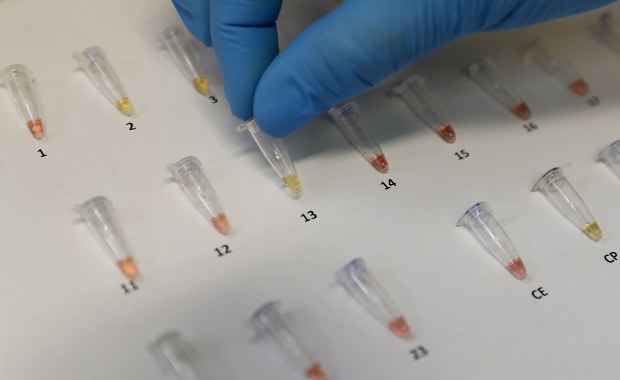 Koronawirus w Polsce. Ponad 4300 zakażeń, 35 osób nie żyje [NOWE DANE]