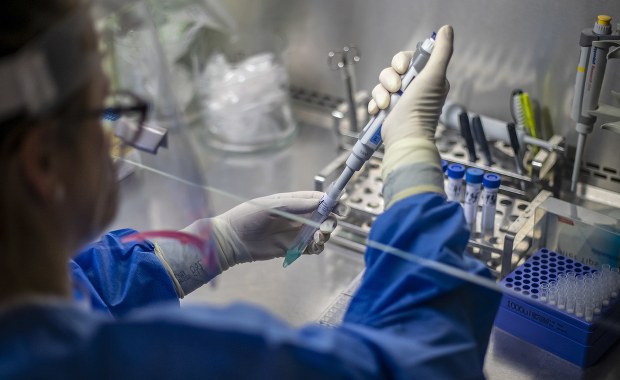 Koronawirus w Polsce. Ponad 8 tys. zakażeń, najgorzej na Mazowszu i w Małopolsce [NOWE DANE]