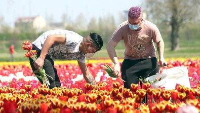 Koronawirus we Włoszech. Odnotowano rekordową liczbę wyzdrowień!