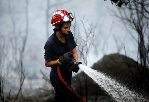 Korsyce grozi katastrofa ekologiczna - alarmują francuskie władze. Tysiące hektarów lasów i łąk niszczy gigantyczna fala pożarów /SEBASTIEN NOGIER  /PAP/EPA