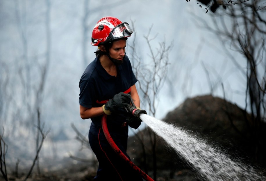 Korsyce grozi katastrofa ekologiczna - alarmują francuskie władze. Tysiące hektarów lasów i łąk niszczy gigantyczna fala pożarów /SEBASTIEN NOGIER  /PAP/EPA