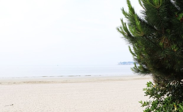 Korsykanie przepędzają islamistów z plaży