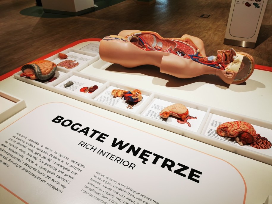 Kortosfera - Centrum Popularyzacji Nauki i Innowacji Uniwersytetu Warmińsko-Mazurski /Piotr Bułakowski /RMF24