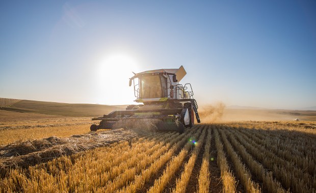 ​Korytarze solidarnościowe działają. Zboże jest eksportowane z Ukrainy