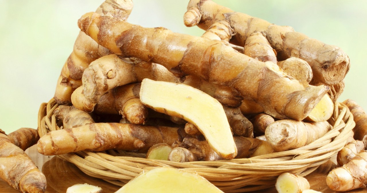 Korzeń białej kurkumy jest mało popularny, ale również ma wiele właściwości prozdrowotnych / govindji /123RF/PICSEL