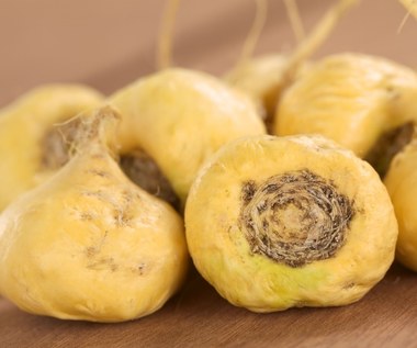Korzeń maca: leczy bóle i poprawia potencję