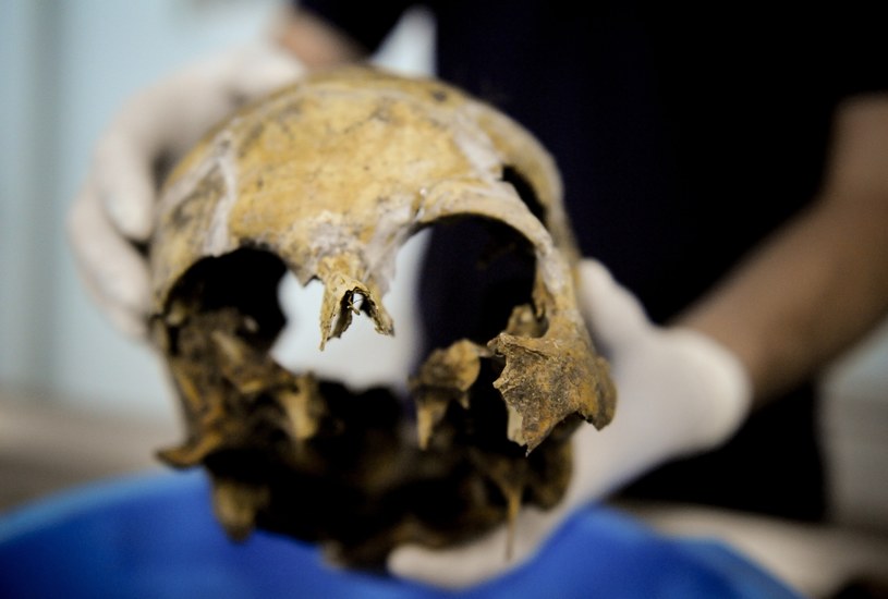 Kość to kość. Szkielet to szkielet. Nie można uruchamać wyobraźni - mówią archeolodzy /AFP