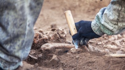 Kości na terenie dawnej kopalni. To szczątki przymusowych robotników?