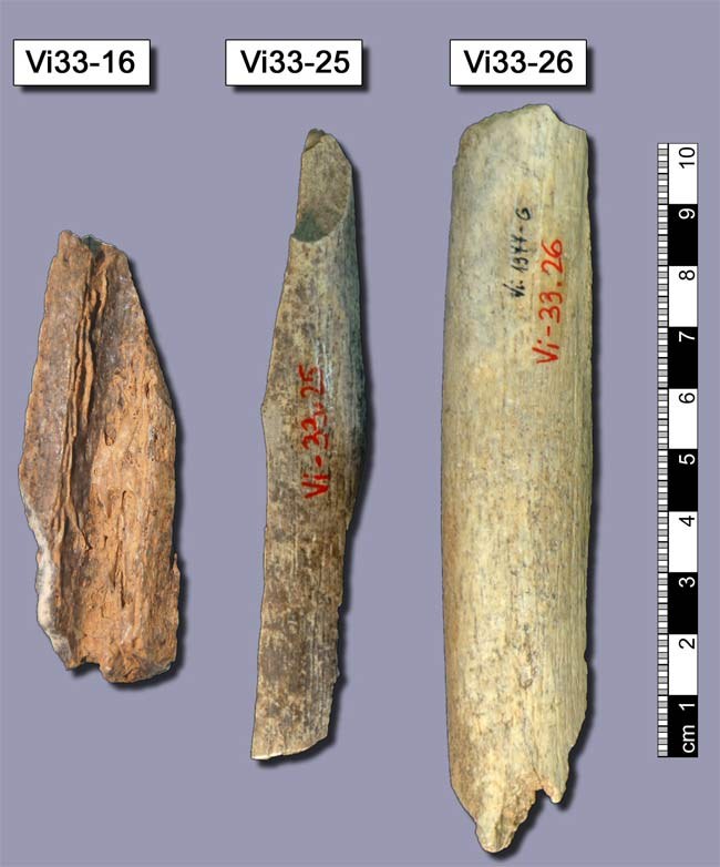 Kości z jaskini Vindija w Chorwacji, użyte do badań genomu &nbsp; /Fot. Max-Planck-Institute EVA