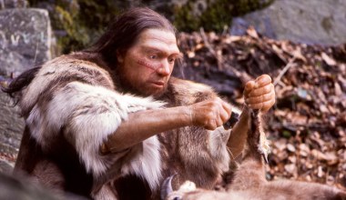 Kościane narzędzia neandertalczyków. Pierwsze takie odkrycie w kraju
