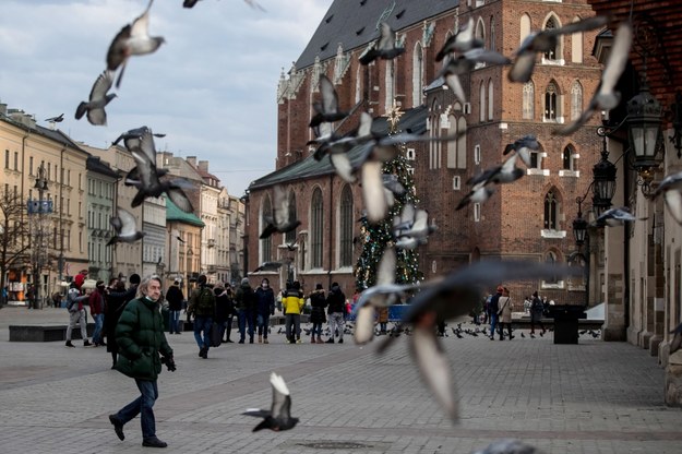 Kościół Mariacki w Krakowie /	Łukasz Gągulski /PAP