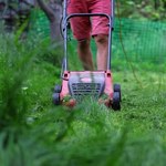 Kosisz trawnik? W tych przypadkach grozi ci mandat. Nawet 5 tys. zł kary