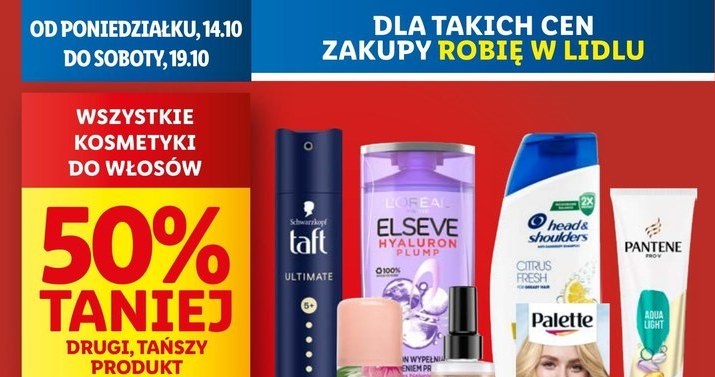 Kosmetyki do włosów 50% taniej w Lidlu /Lidl /INTERIA.PL