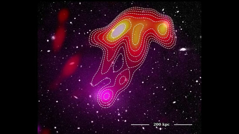 Kosmiczna meduza, czyli zjawisko zwane feniksem /materiały prasowe