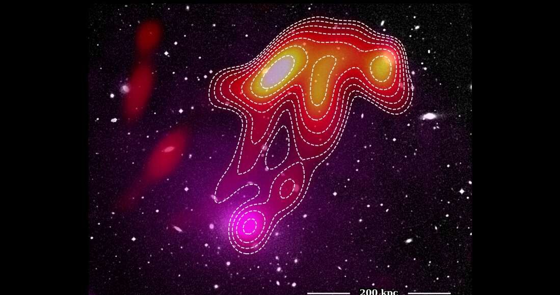 Kosmiczna meduza, czyli zjawisko zwane feniksem /materiały prasowe