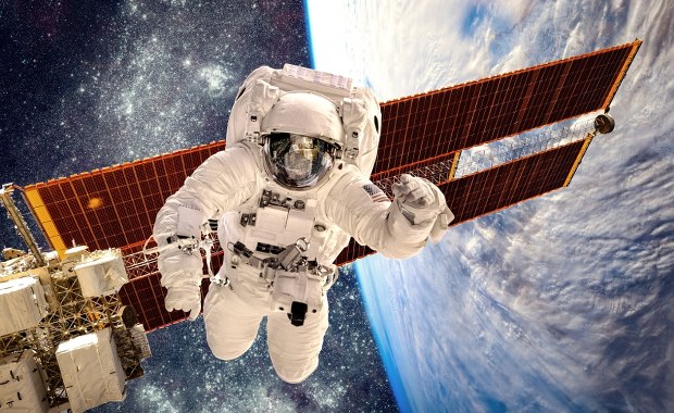 Kosmiczne drożdże wróciły na Ziemię. Czy pomogą podbić Marsa?