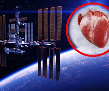 Kosmiczne organy do przeszczepów? NASA będzie je drukować na ISS 