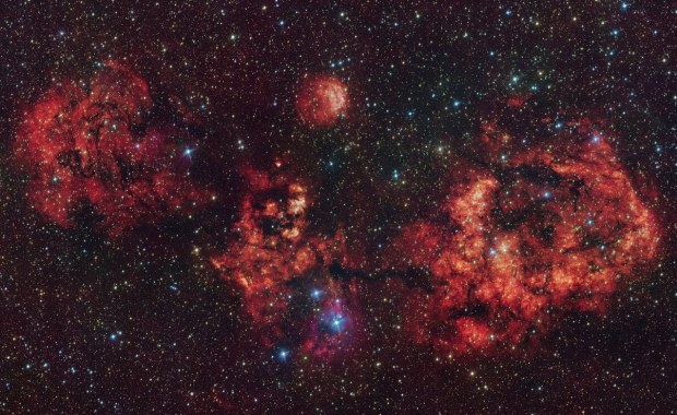 "Kosmiczny nietoperz" na niebie. Niezwykłe odkrycie w Halloween