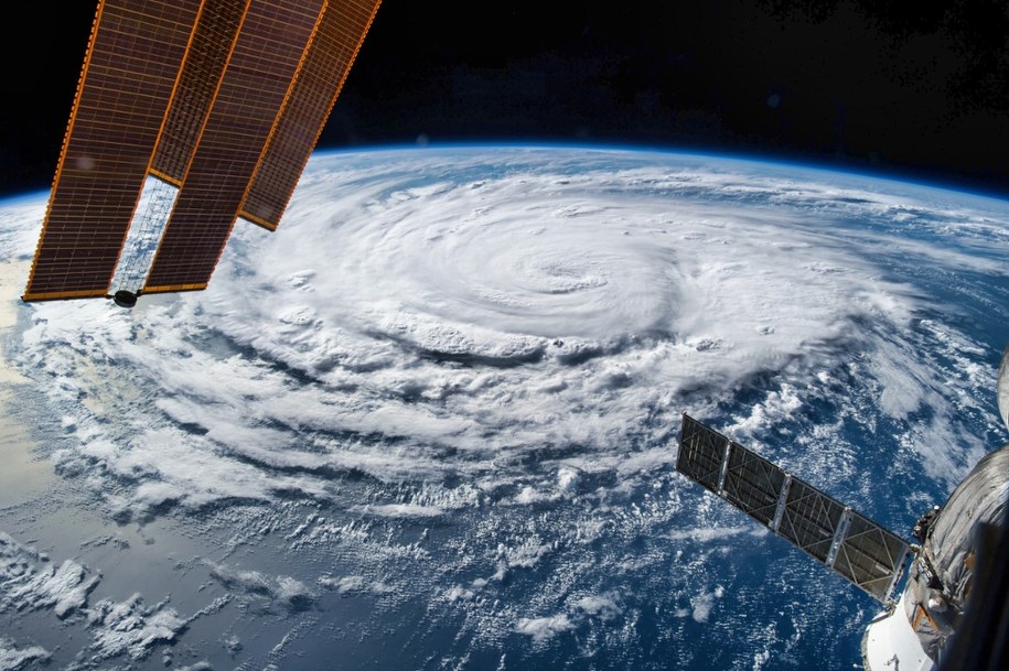 Kosmos - zdjęcie poglądowe /Shutterstock