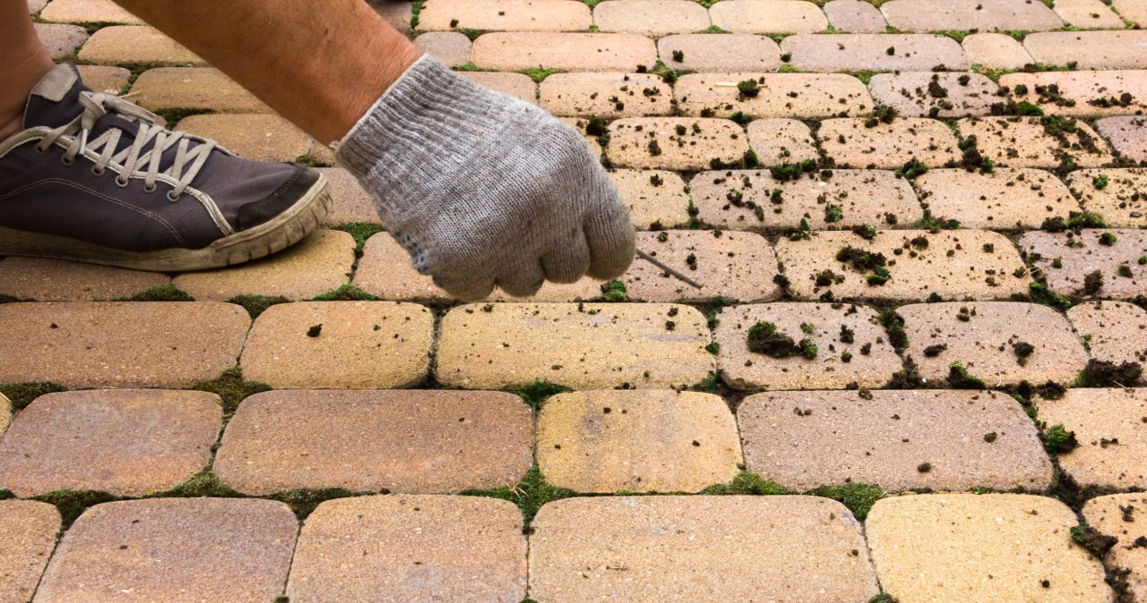Kostka brukowa po zimie wymaga odświeżenia. Jak zrobić to domowym sposobem? /123RF/PICSEL
