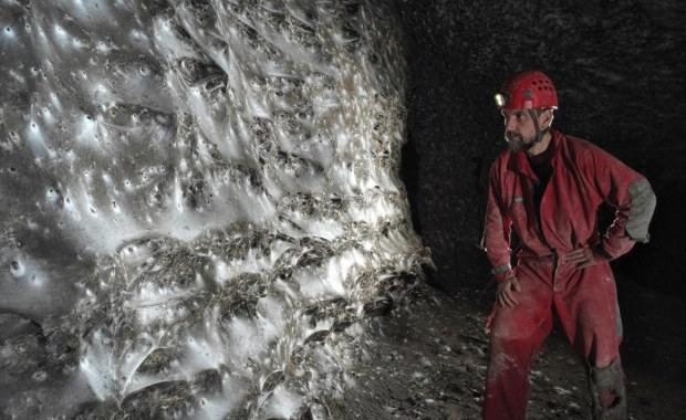Koszmar arachnofobów i odkrycie naukowców. Gigantyczna pajęczyna domem dla 111 tys. pająków
