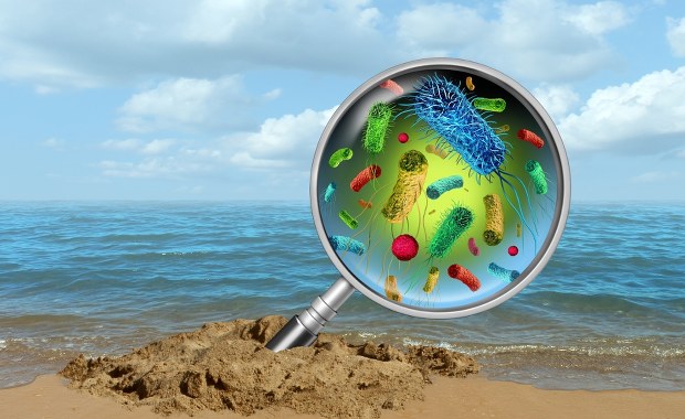 Koszmar nad oceanem w USA: Plaże skażone fekaliami