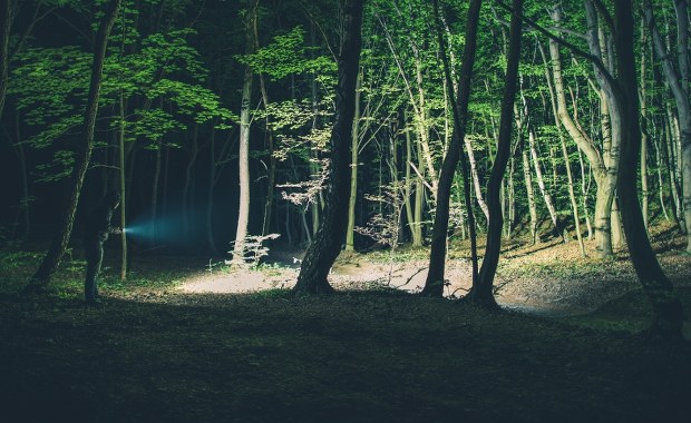 Koszmar turystki na Podhalu. Kierowca wyrzucił ją w lesie w nocy