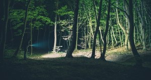 Koszmar turystki na Podhalu. Kierowca wyrzucił ją w lesie w nocy