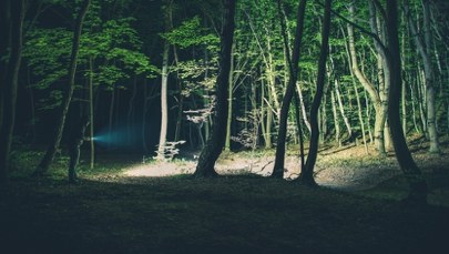 Koszmar turystki na Podhalu. Kierowca wyrzucił ją w lesie w nocy