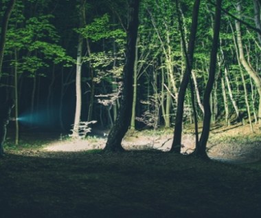 Koszmar turystki na Podhalu. Kierowca wyrzucił ją w lesie w nocy