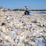 Koszmar w turystycznym raju: Plaże na Bali toną w śmieciach