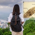 Koszmarna pamiątka z urlopu. Wróciła z robakiem w oku