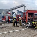 Koszmarny pożar na Pomorzu. Giną dziesiątki tysięcy kur