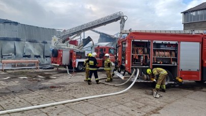 Koszmarny pożar na Pomorzu. Giną dziesiątki tysięcy kur