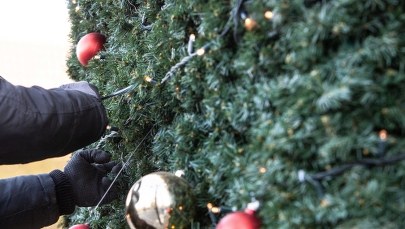 Kosztowana choinka stanie na Placu Weneckim. Rzymianie zapomną o "drapaku"?